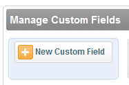 new custom field button