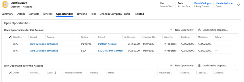 Dynamics opportunities tab