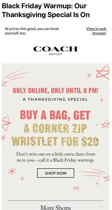 Screen capture of an email from Coach advertising their Black Friday sale pink and sparkly gold text on a light gray background that says "Buy a Bag, Get a Corner Zip Wristlet for $20" and a "Shop Now" ghost button