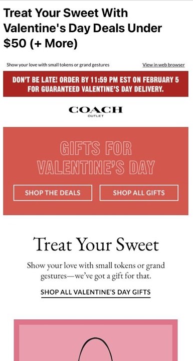 Screen capture of an email from Coach feauring their Valentine's Day deals with a white background and red and pink accents.