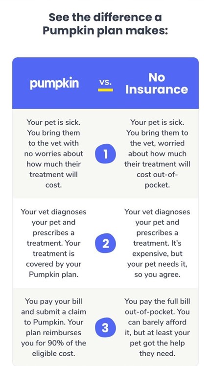Subject line reads "See the difference a Pumpkin plan makes:" followed by a rendering of an email with a chart comparing a Pumpkin pet insurance plan to having no pet insurance. The chart's header is blue and the rows are different shades of gray.