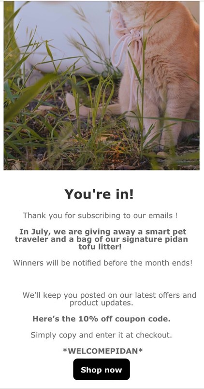 White background with black text and a header image of an orange tabby cat sitting outside in long grass. The text reads "You're in!" followed by text thanking the recipient for subscribing to the company's newsletters and a 10% off coupon code.